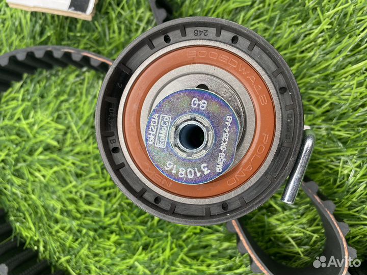 Ремень грм ford focus 3