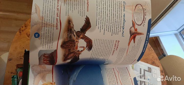 Энциклопедия