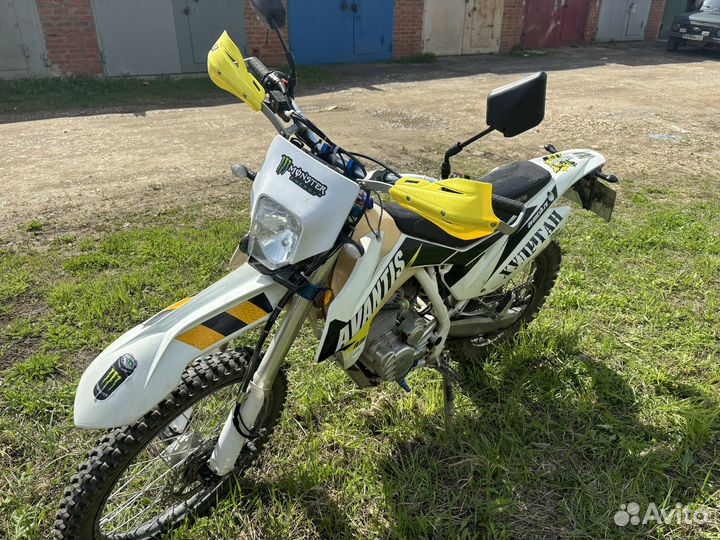 Avantis FX250