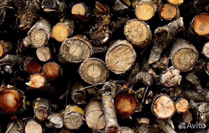 Дрова без сучков