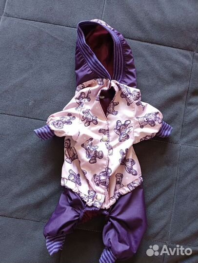 Одежда для собак