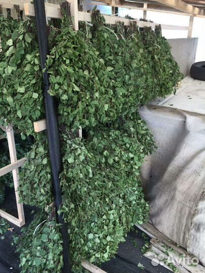 Веники берёза 75р1шт дуб 120-150р1шт