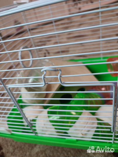 Клетка для грызунов
