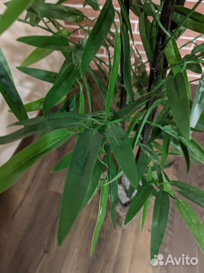 Растение искусственное бамбук