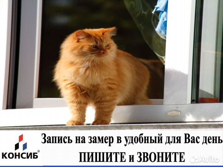 Окна и двери, под заказ, от завода производителя