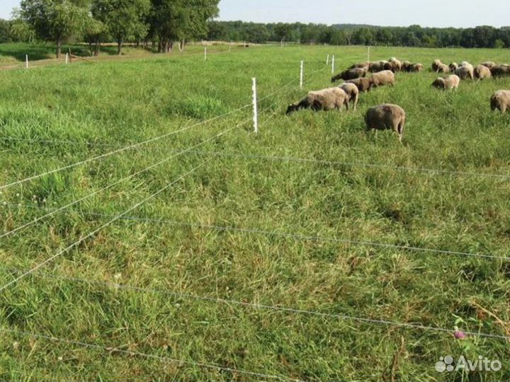 Электропастух для коров готовый комплект