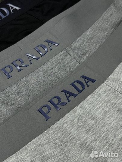 Трусы Prada