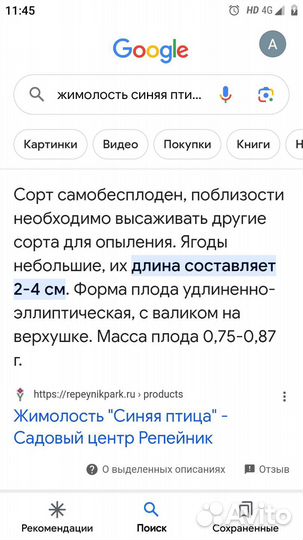Жимолость