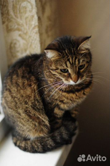 Шикарная милаха ищет тебя