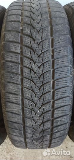 Tristar SnowPower 225/55 R19