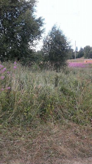 Участок 16 сот. (ИЖС)