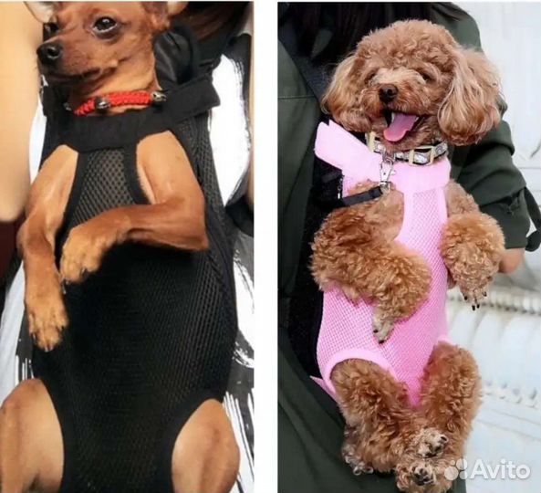 Рюкзак - переноска для собак