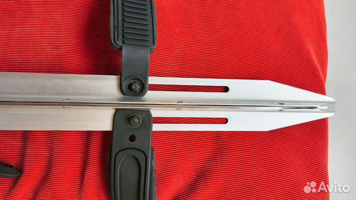 Озерные коньки байсы