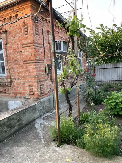 Дом 77 м² на участке 5,35 га