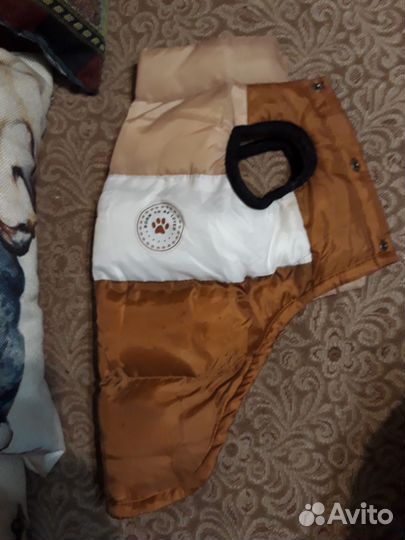 Одежда для маленькой собачки