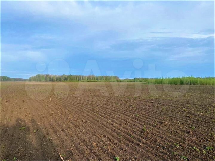Участок 44 га (ИЖС)