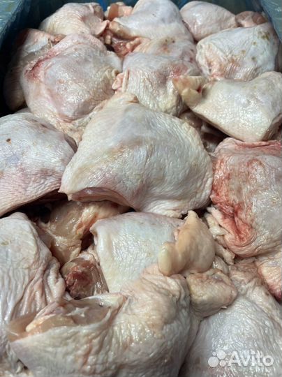 Бедро, мясо, курица, бедро куриное