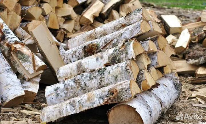 Дрова береза
