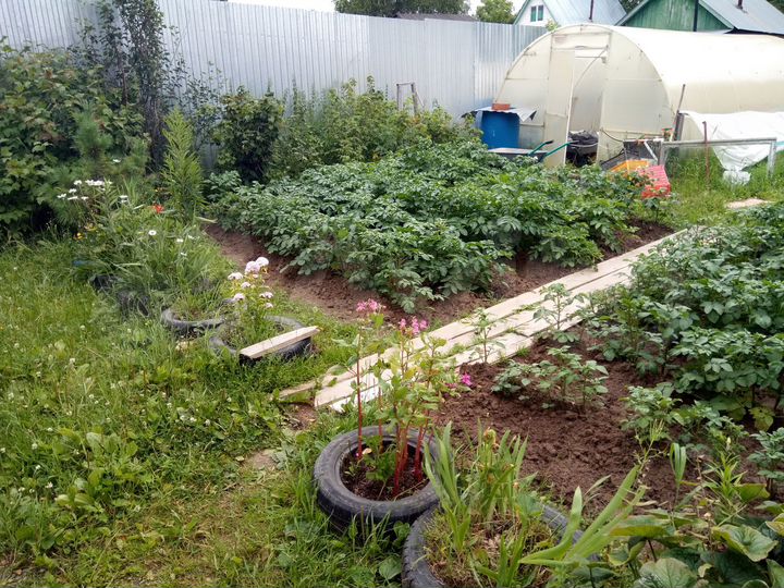 Дача 30 м² на участке 4,1 сот.