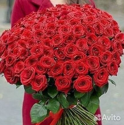 Букет роз 101 роза 51 роза