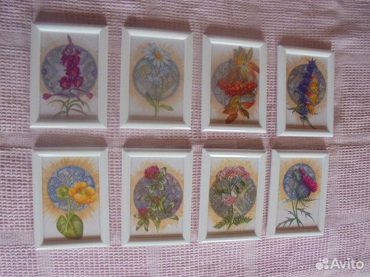 Панно 12х17 Травник белая рамка со стеклом 1 шт