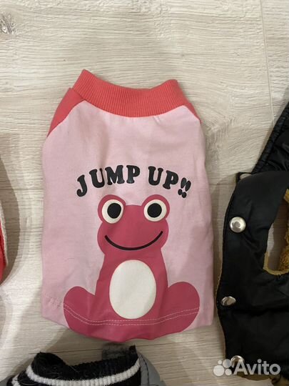 Одежда для маленьких собак s