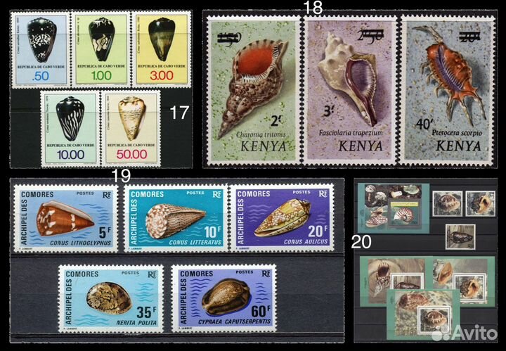Марки по теме морская фауна раковины, моллюски 1