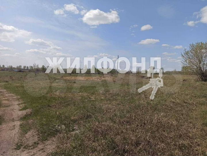 Участок 12 сот. (СНТ, ДНП)