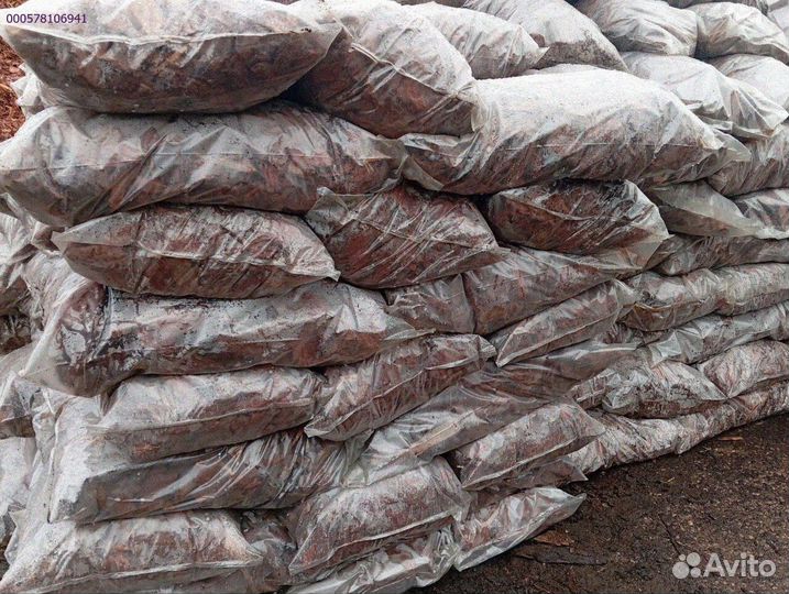 Лиственница: кора, полная жизни