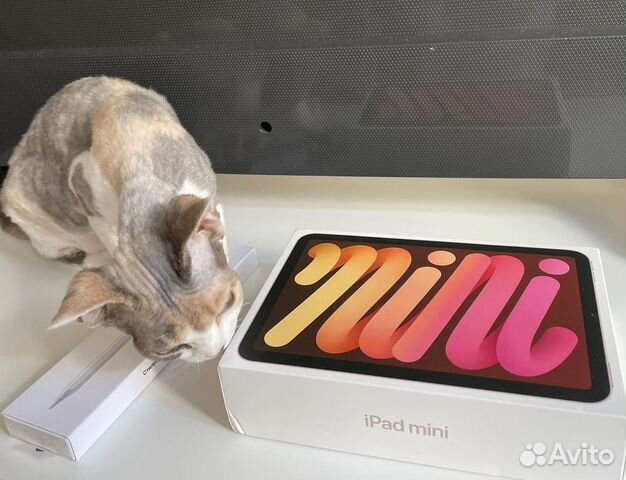 iPad mini 6 Wi-Fi 64 гб, розовый