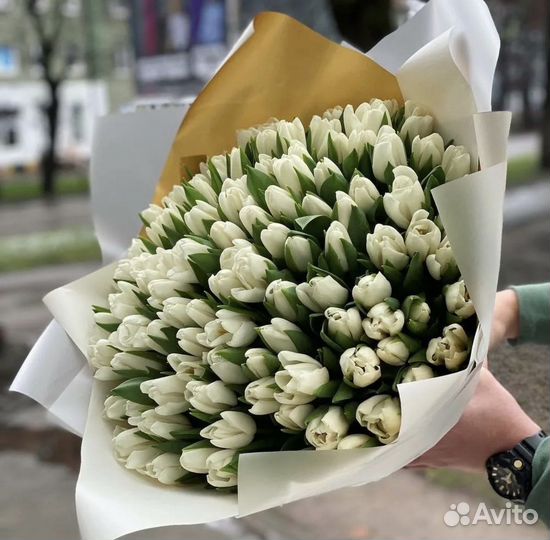 Тюльпаны цветы букеты