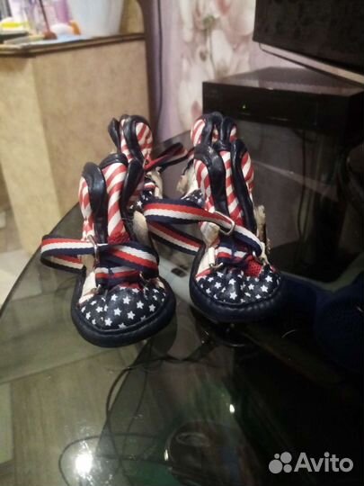 Ботиночки для маленьких пород собак