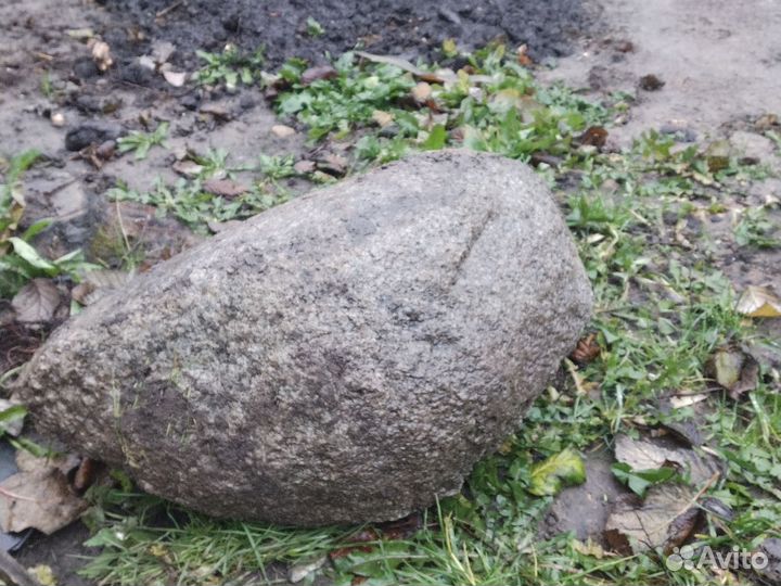 Камень. Альпийская горка. Ландшафт дизайн