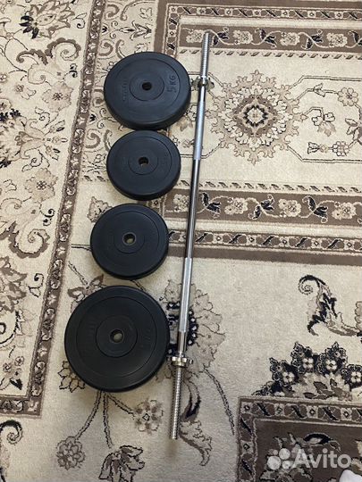 Штанга с блинами