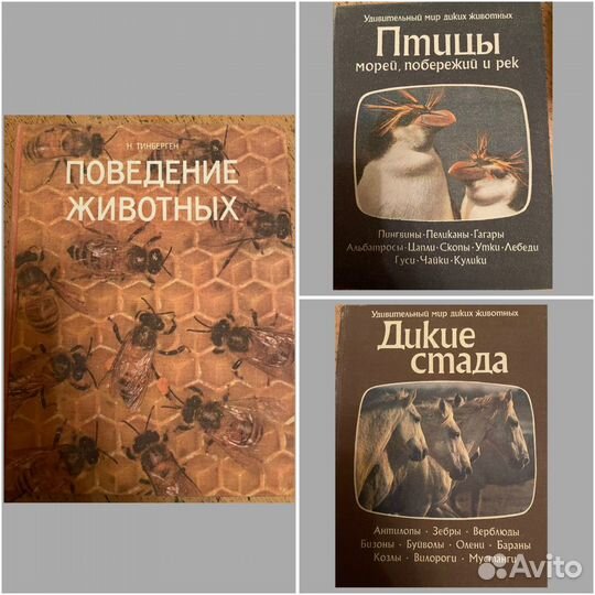 Книги охота, Сабанеев, разное