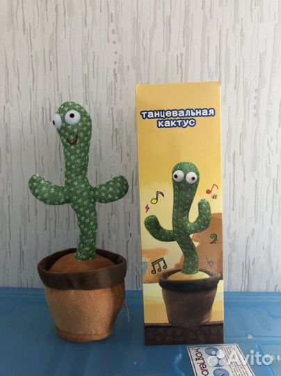 Танцевальный кактус новый