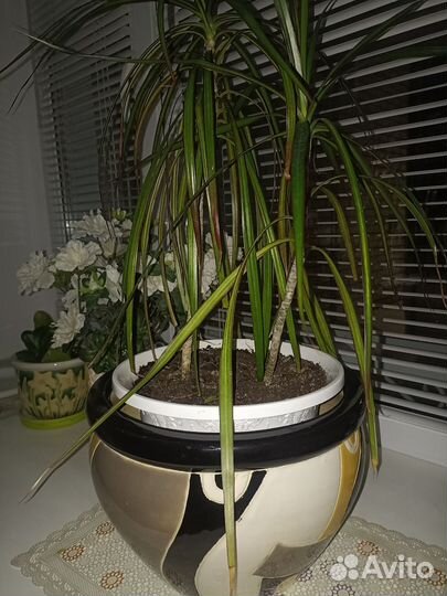 Горшок керамический