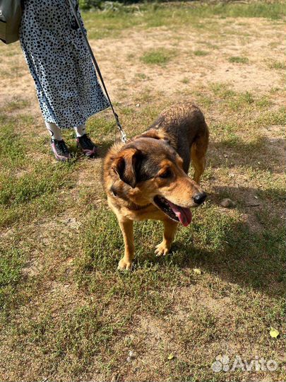 Кит, наш милый старичок