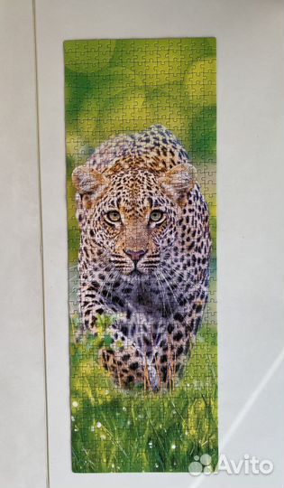 Пазл Hatber 500 деталей Леопард