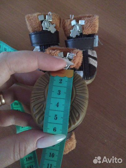 Обувь для собак