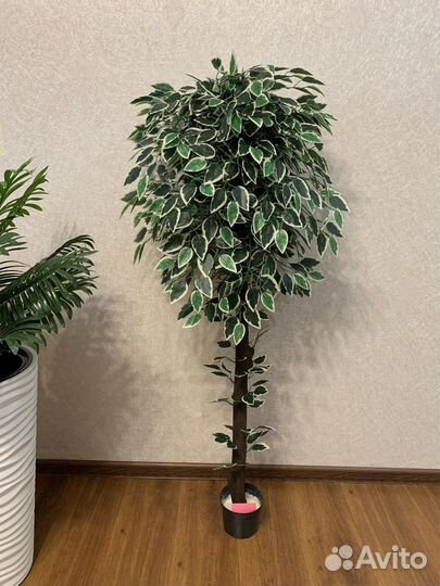 Дерево, искусственный цветок в горшке: фикус манго