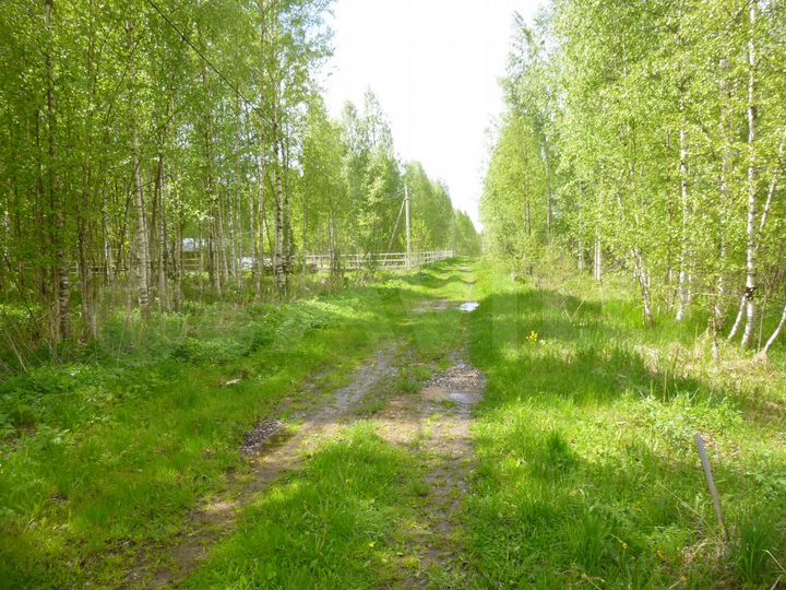 Участок 20 сот. (СНТ, ДНП)