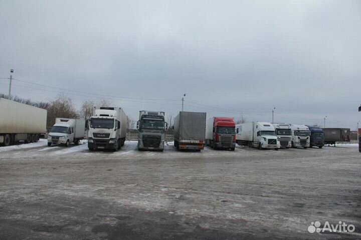 Срочные перевозки для бизнеса