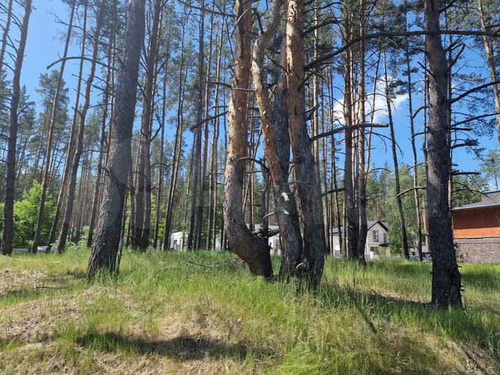 Участок 10 сот. (ИЖС)