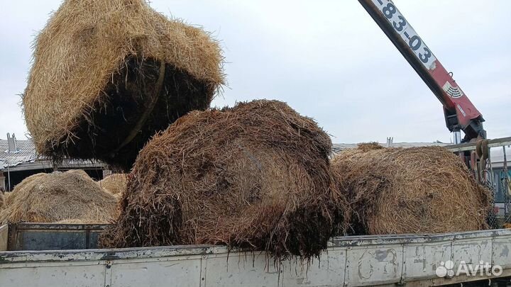 Солома в тюках, сено360 кг, 1.8диаметр, 1.3 ширина