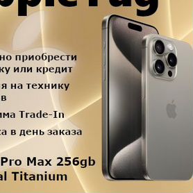 iPhone 15 Pro Max, 256 ГБ