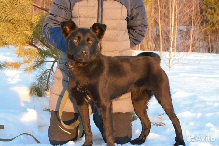 Мега классная Ксива