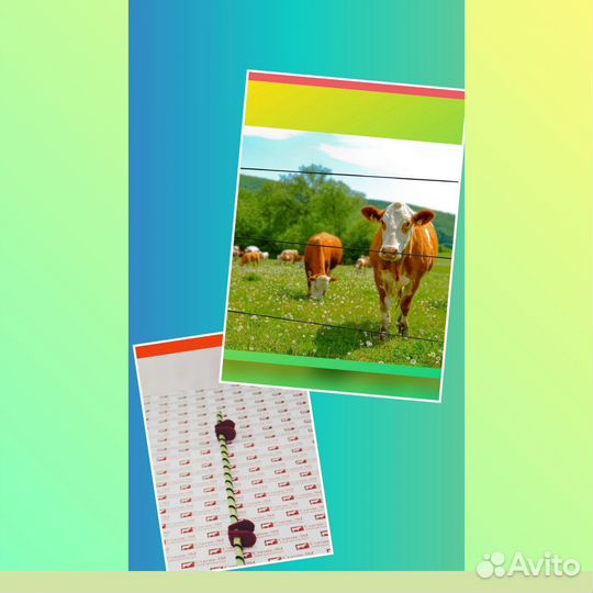 Электропастух