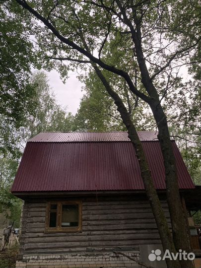 Спил и удаление деревьев любой сложности