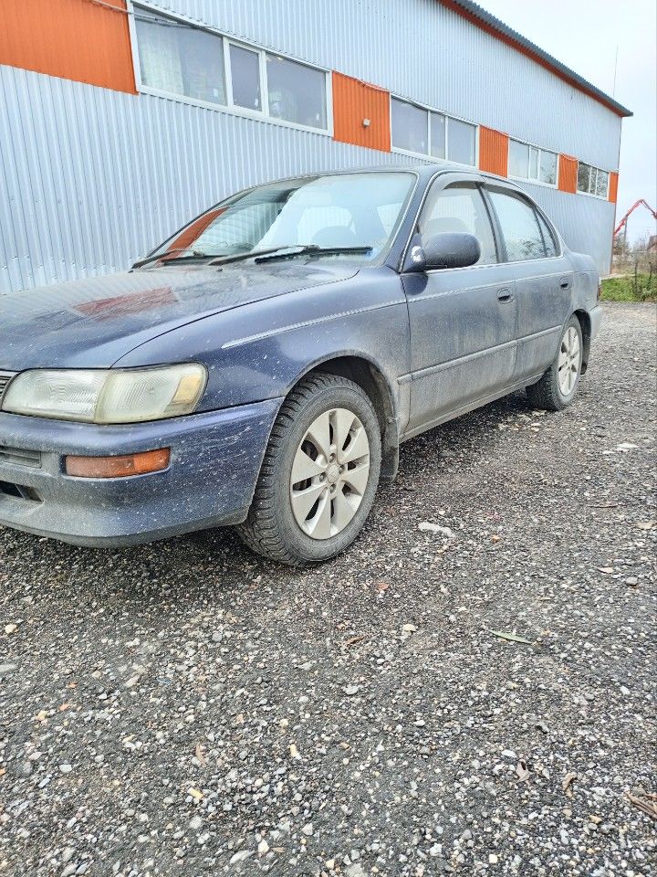 Toyota Corolla: фото владельца
